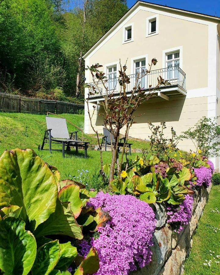 Hotel Garni Dekorahaus Bad Schandau Ngoại thất bức ảnh