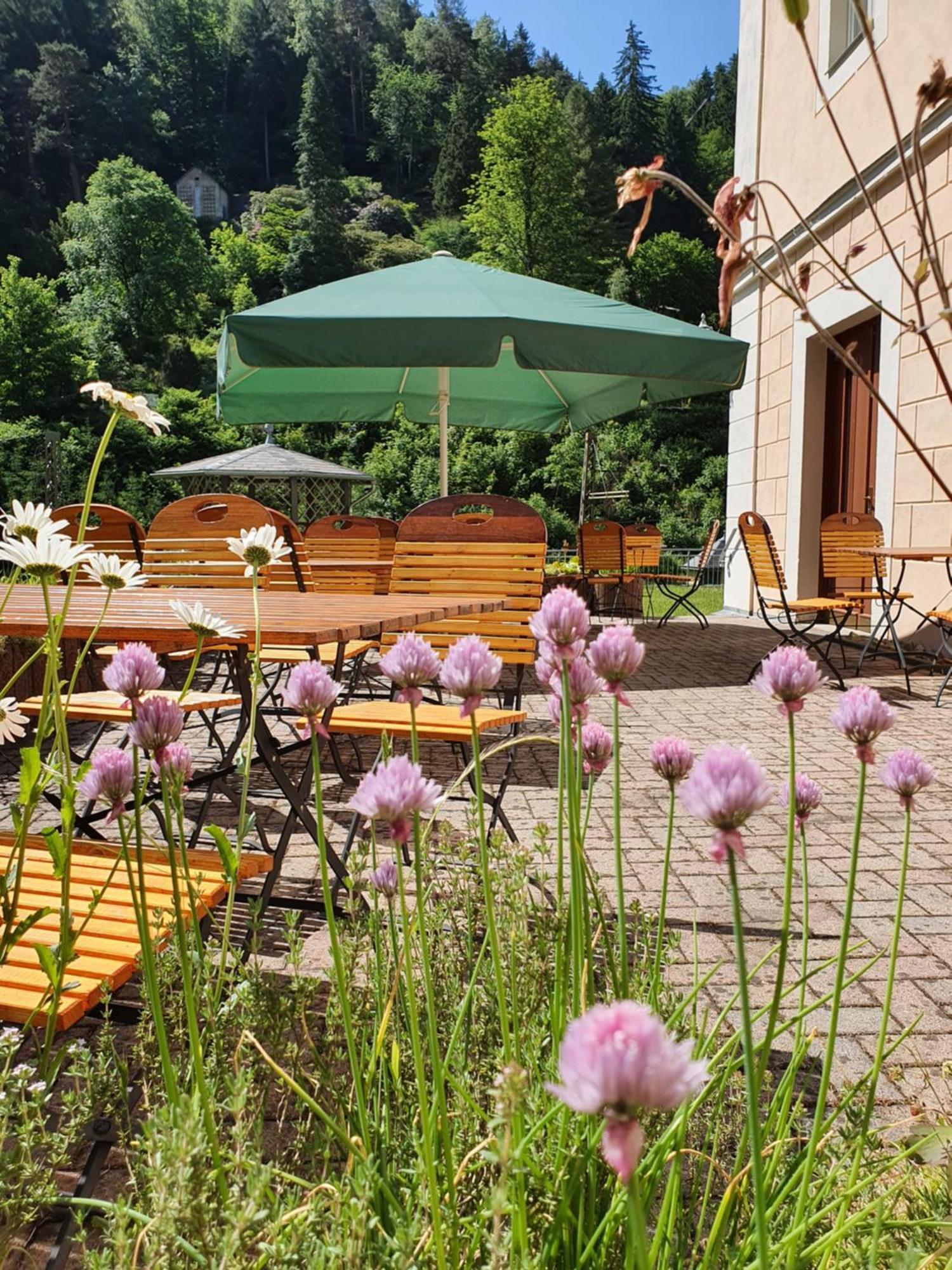 Hotel Garni Dekorahaus Bad Schandau Ngoại thất bức ảnh