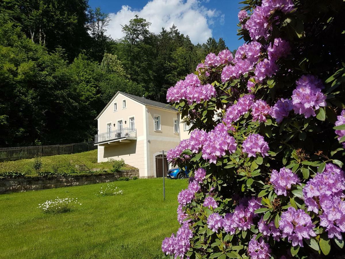 Hotel Garni Dekorahaus Bad Schandau Ngoại thất bức ảnh